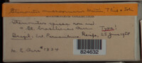 Image Associated With the Occurence